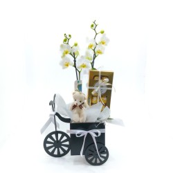 Triciclo Orquídeas Phalaenopsis Ferrero: Presente Delicado e Doce!