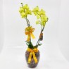 Orquídea Phalaenopsis Amarela Vaso Vidro Presente Alegria Sofisticação