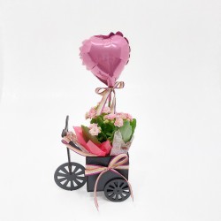 Mini Triciclo Calandiva Love: Alegria e Amor em um Presente Encantado