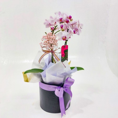 Caixa de Orquídea Phalaenopsis: Presente Elegante e Sofisticado