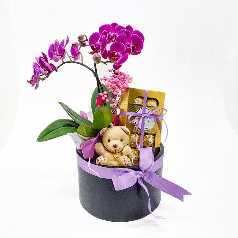 Caixa Orquídea, Ursinho e Ferrero: Presente Completo e Encantador