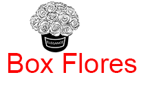 Box de flores