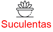 Suculentas