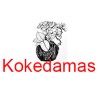 Kokedamas