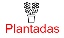 Plantadas